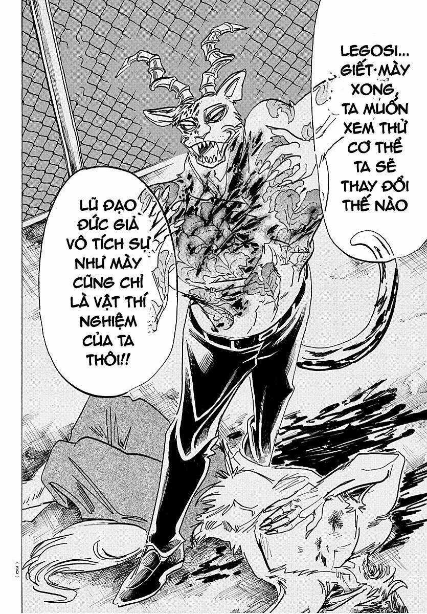 Bởi Vì Chúng Ta Đều Là Những Ngôi Sao Chapter 184 trang 16