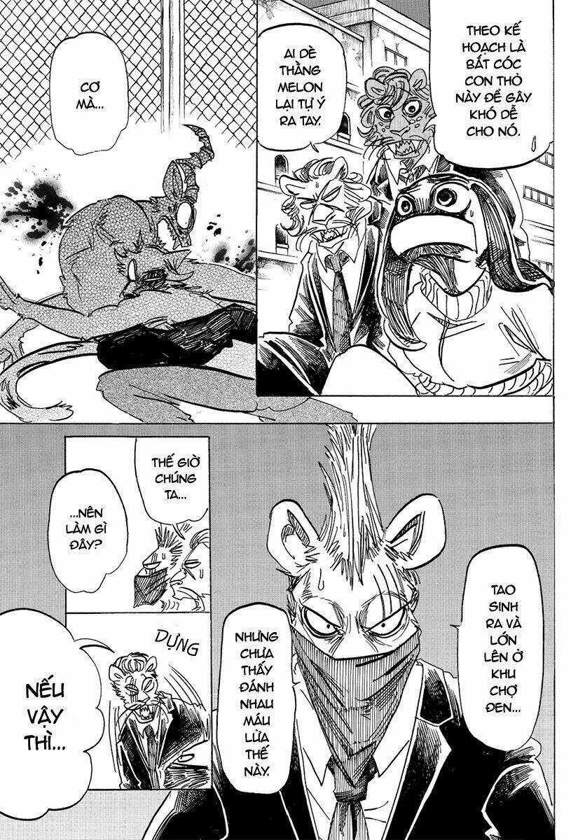 Bởi Vì Chúng Ta Đều Là Những Ngôi Sao Chapter 185 trang 4