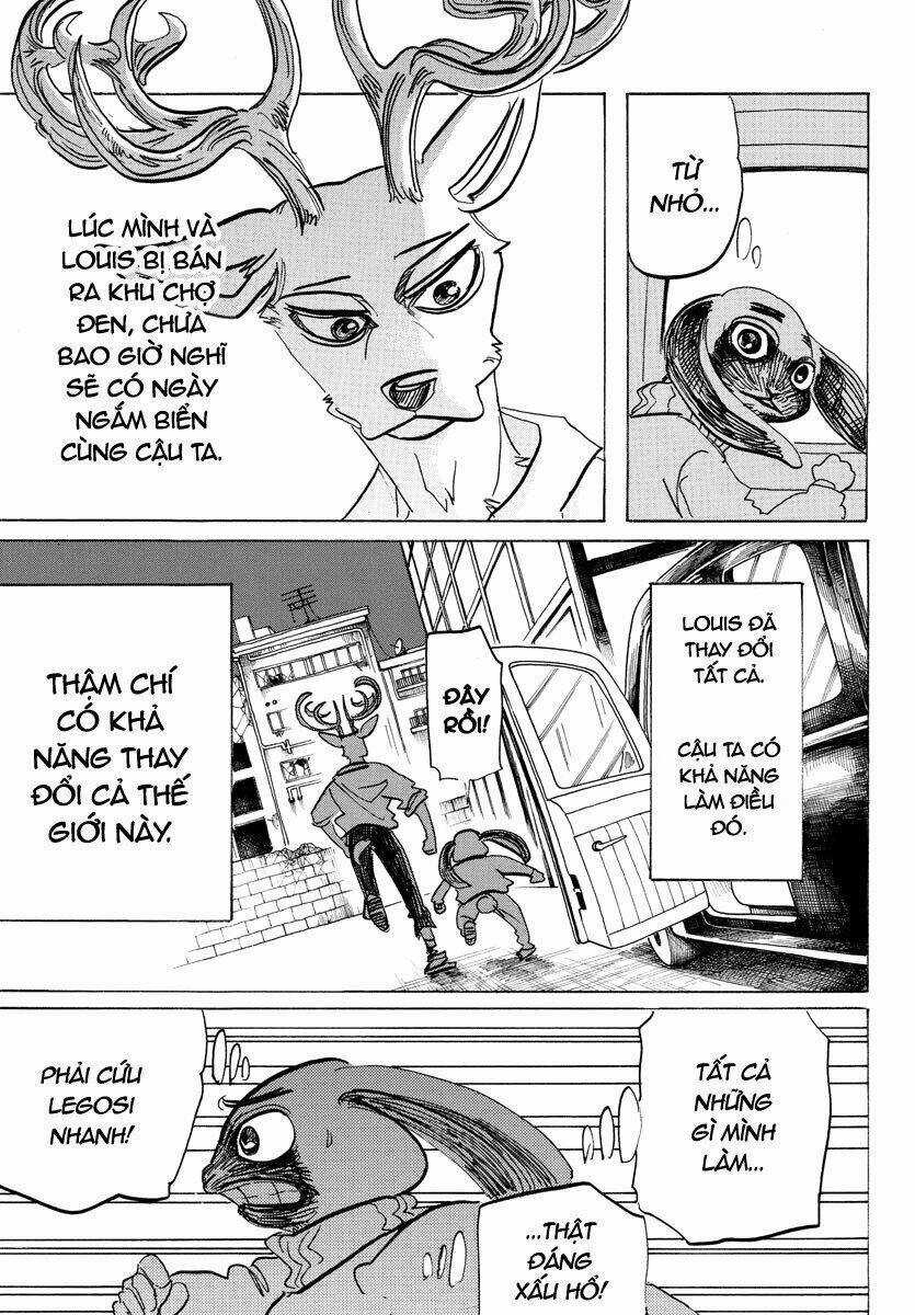 Bởi Vì Chúng Ta Đều Là Những Ngôi Sao Chapter 186 trang 17