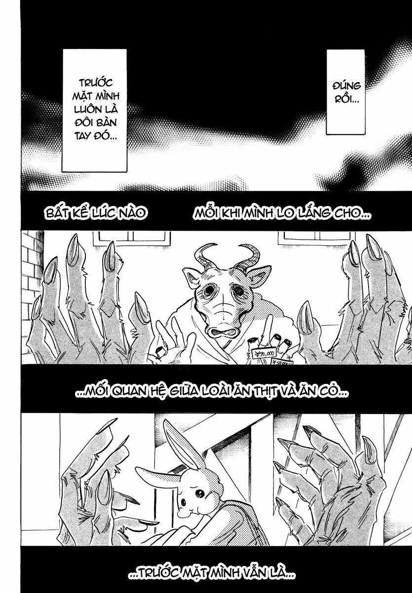 Bởi Vì Chúng Ta Đều Là Những Ngôi Sao Chapter 187 trang 11