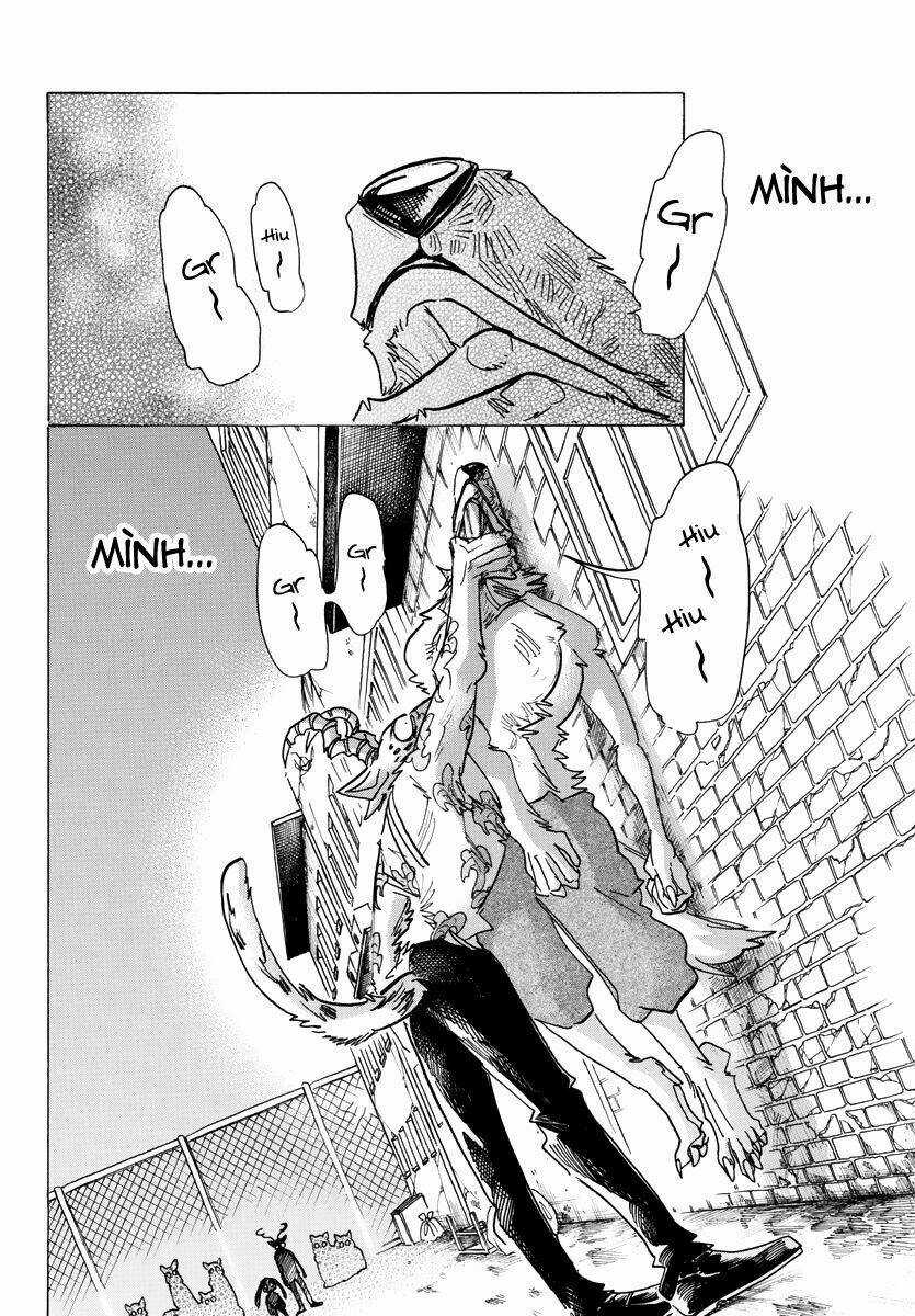 Bởi Vì Chúng Ta Đều Là Những Ngôi Sao Chapter 187 trang 13