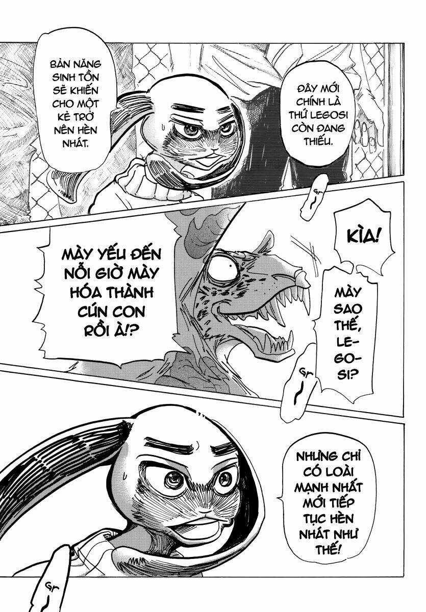 Bởi Vì Chúng Ta Đều Là Những Ngôi Sao Chapter 187 trang 14