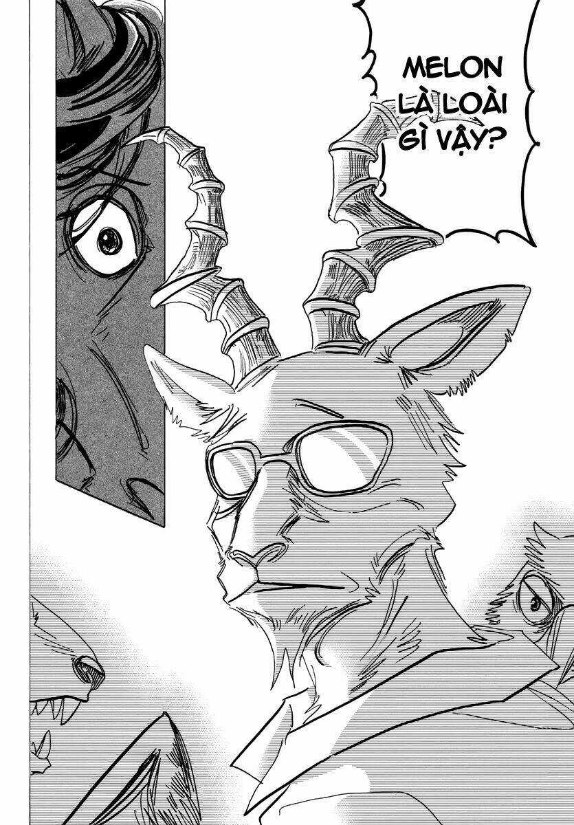 Bởi Vì Chúng Ta Đều Là Những Ngôi Sao Chapter 187 trang 19