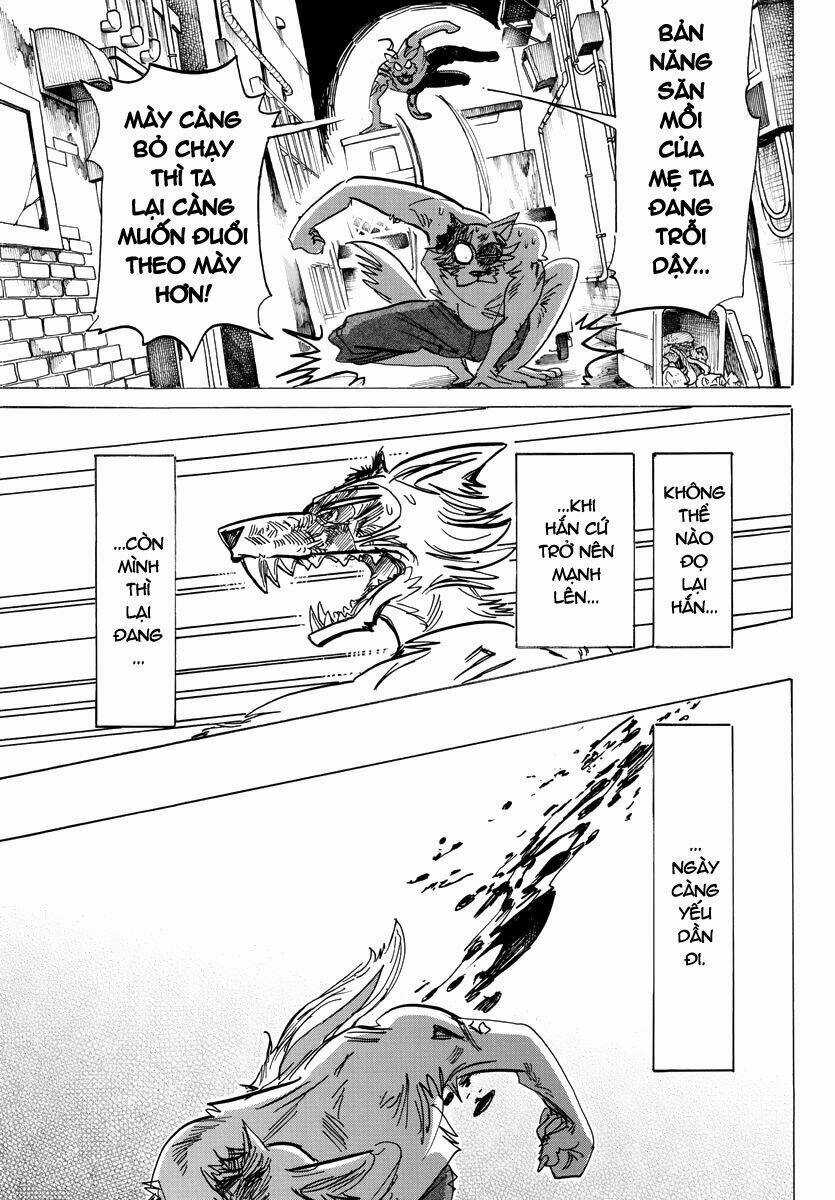 Bởi Vì Chúng Ta Đều Là Những Ngôi Sao Chapter 187 trang 6