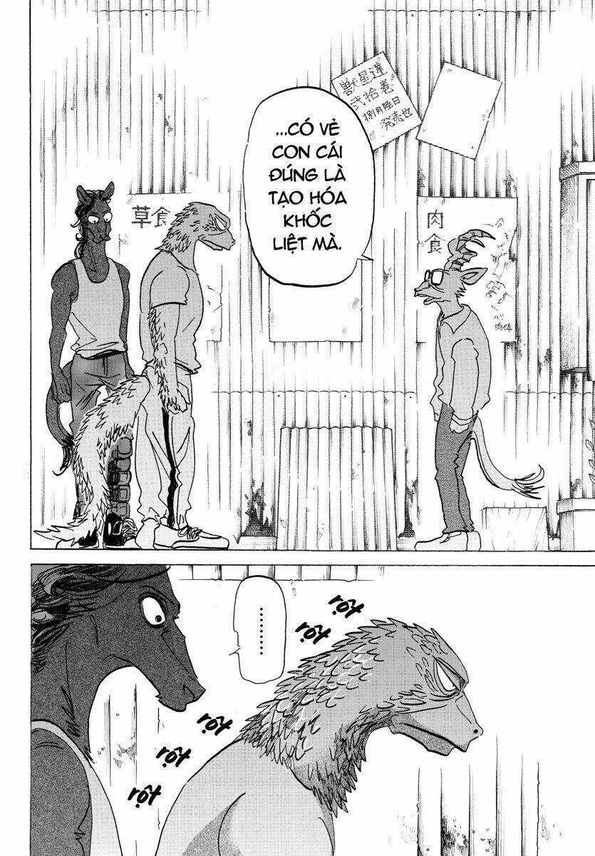 Bởi Vì Chúng Ta Đều Là Những Ngôi Sao Chapter 189 trang 2