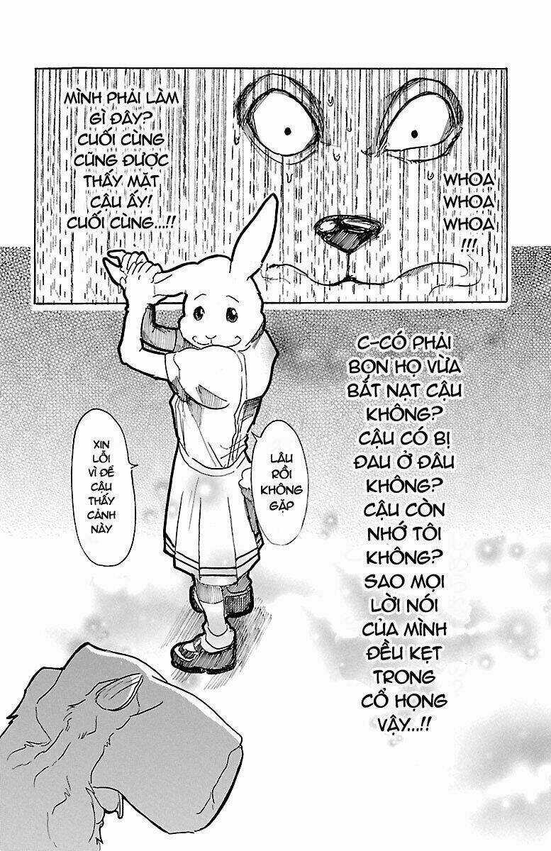 Bởi Vì Chúng Ta Đều Là Những Ngôi Sao Chapter 19 trang 1