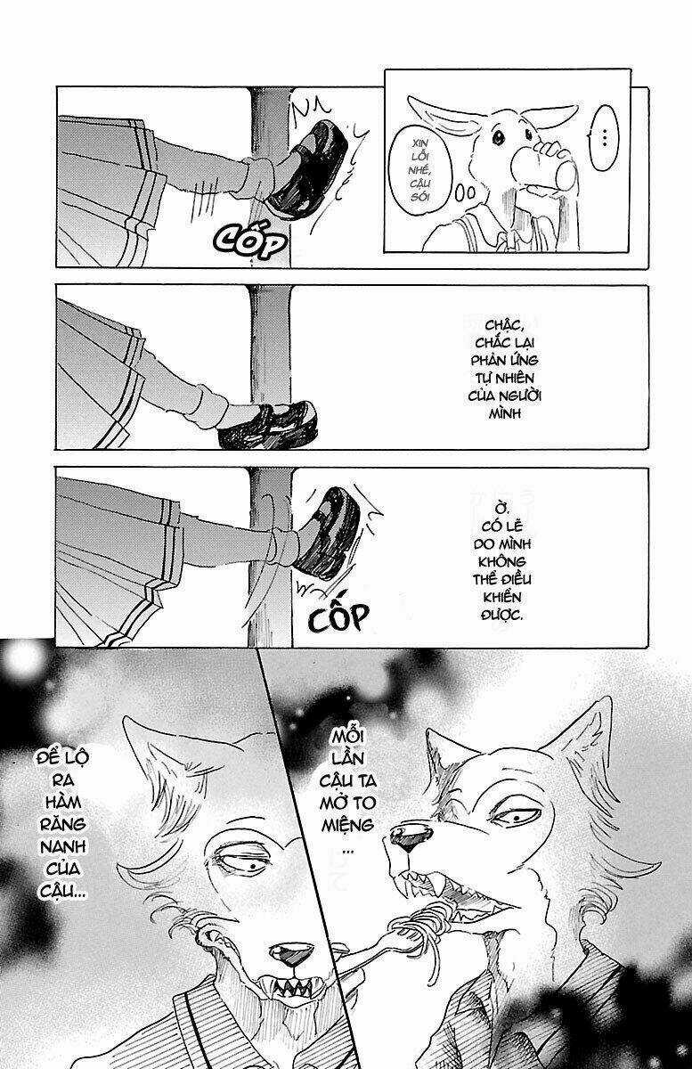 Bởi Vì Chúng Ta Đều Là Những Ngôi Sao Chapter 19 trang 12