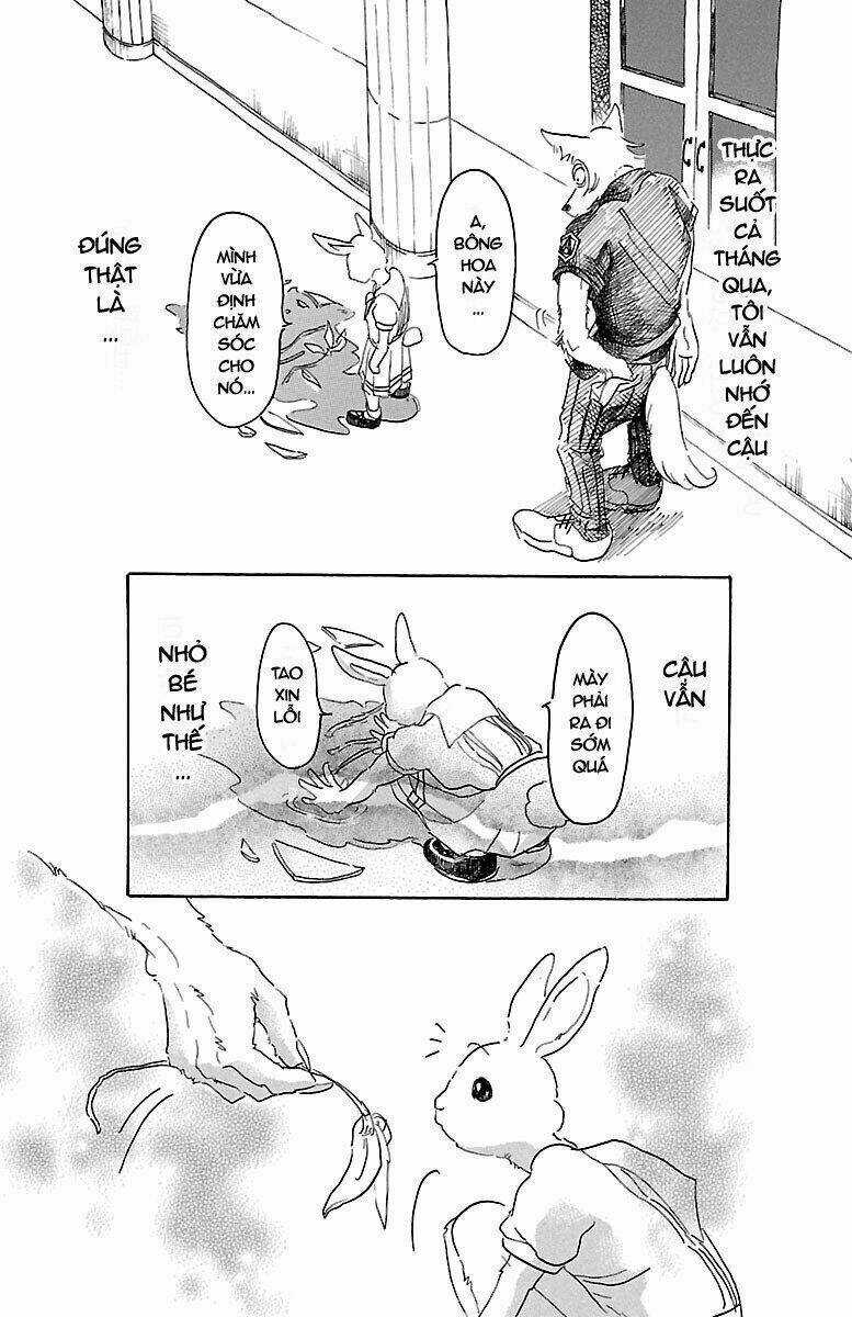 Bởi Vì Chúng Ta Đều Là Những Ngôi Sao Chapter 19 trang 2