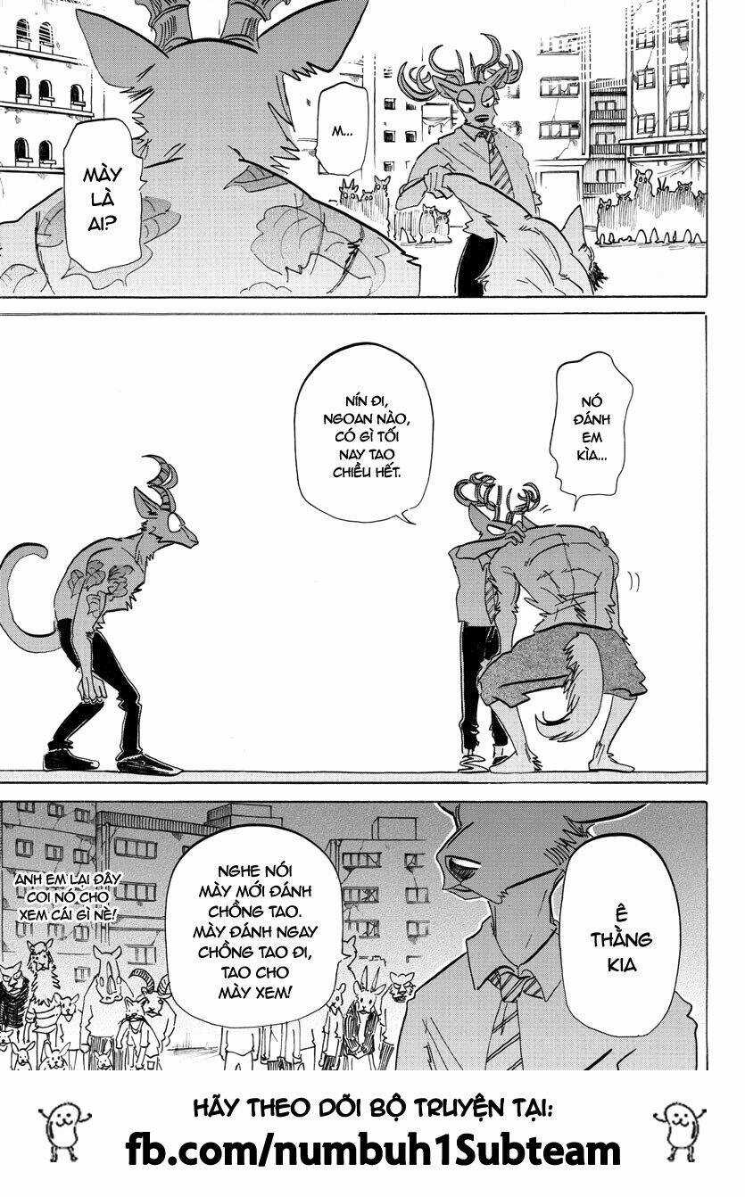 Bởi Vì Chúng Ta Đều Là Những Ngôi Sao Chapter 190 trang 19