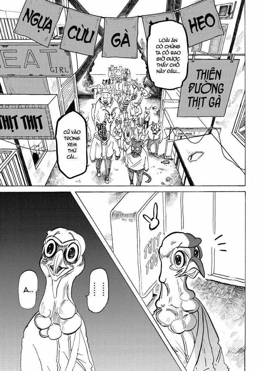 Bởi Vì Chúng Ta Đều Là Những Ngôi Sao Chapter 190 trang 2