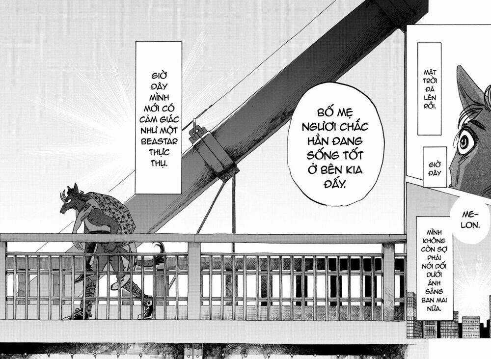 Bởi Vì Chúng Ta Đều Là Những Ngôi Sao Chapter 192 trang 8