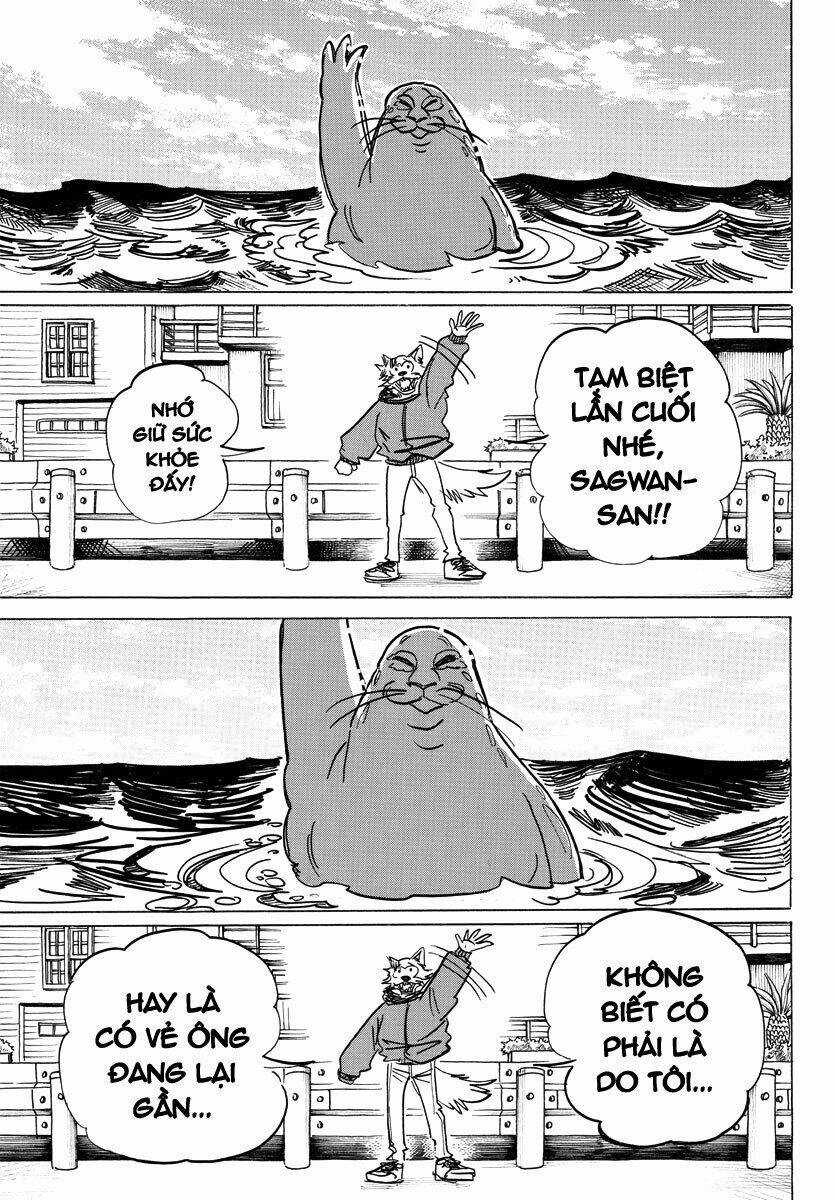 Bởi Vì Chúng Ta Đều Là Những Ngôi Sao Chapter 193 trang 15