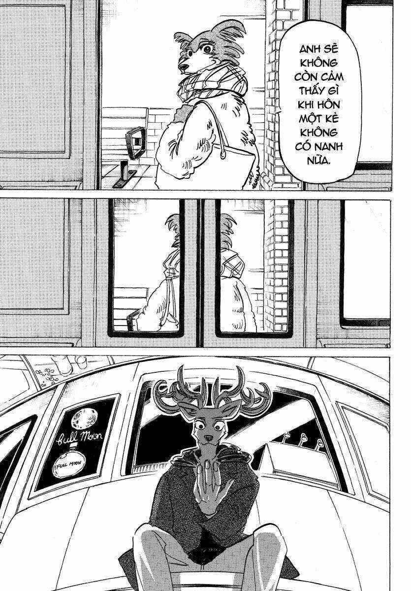 Bởi Vì Chúng Ta Đều Là Những Ngôi Sao Chapter 194 trang 17