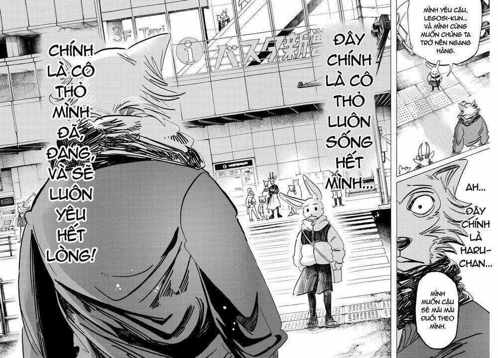 Bởi Vì Chúng Ta Đều Là Những Ngôi Sao Chapter 195 trang 17