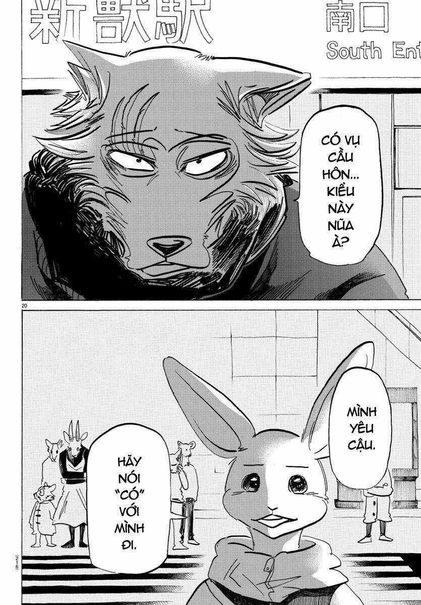 Bởi Vì Chúng Ta Đều Là Những Ngôi Sao Chapter 195 trang 18