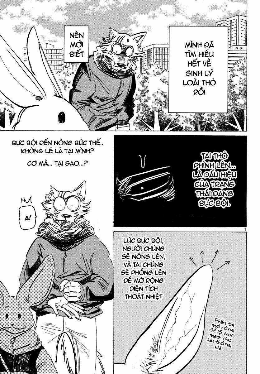 Bởi Vì Chúng Ta Đều Là Những Ngôi Sao Chapter 195 trang 2