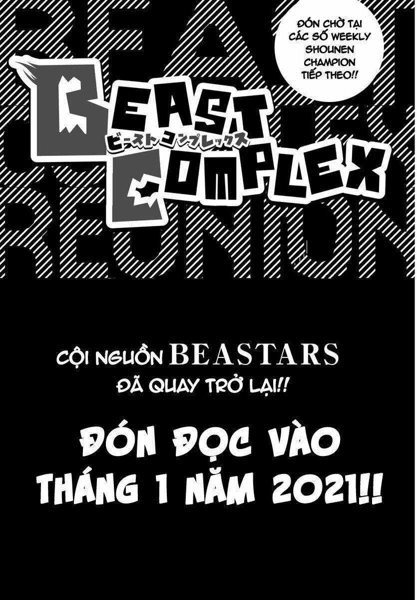 Bởi Vì Chúng Ta Đều Là Những Ngôi Sao Chapter 196 trang 24