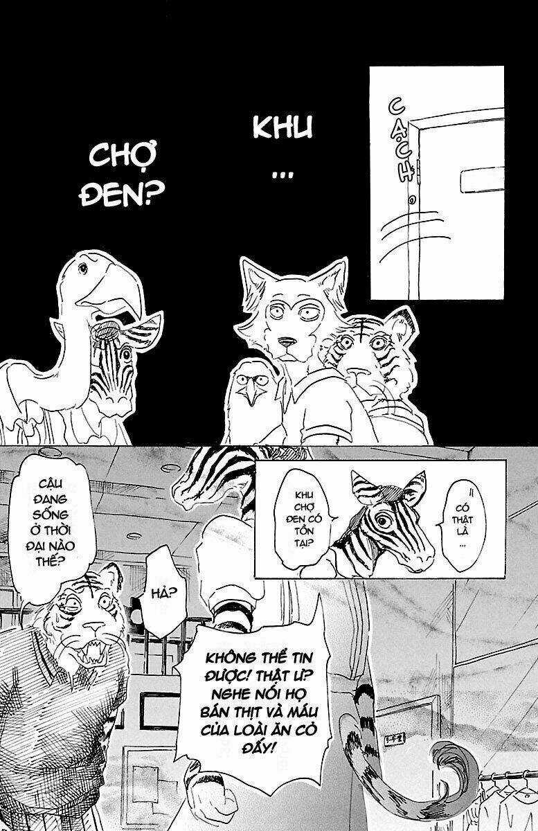 Bởi Vì Chúng Ta Đều Là Những Ngôi Sao Chapter 21 trang 15