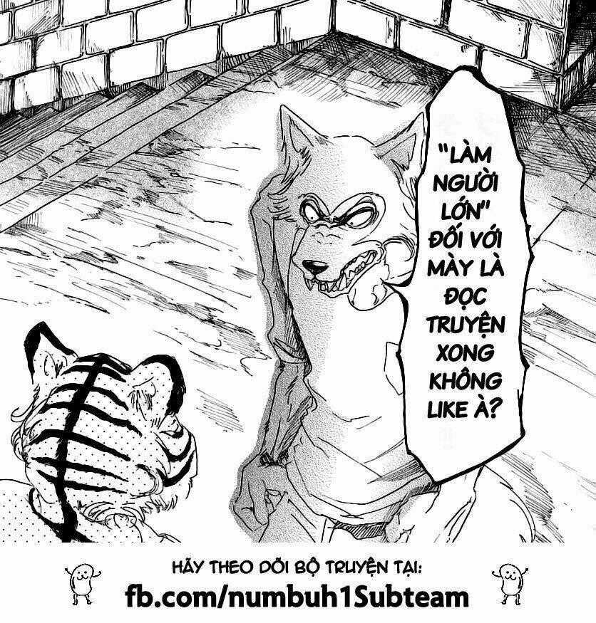 Bởi Vì Chúng Ta Đều Là Những Ngôi Sao Chapter 23 trang 20