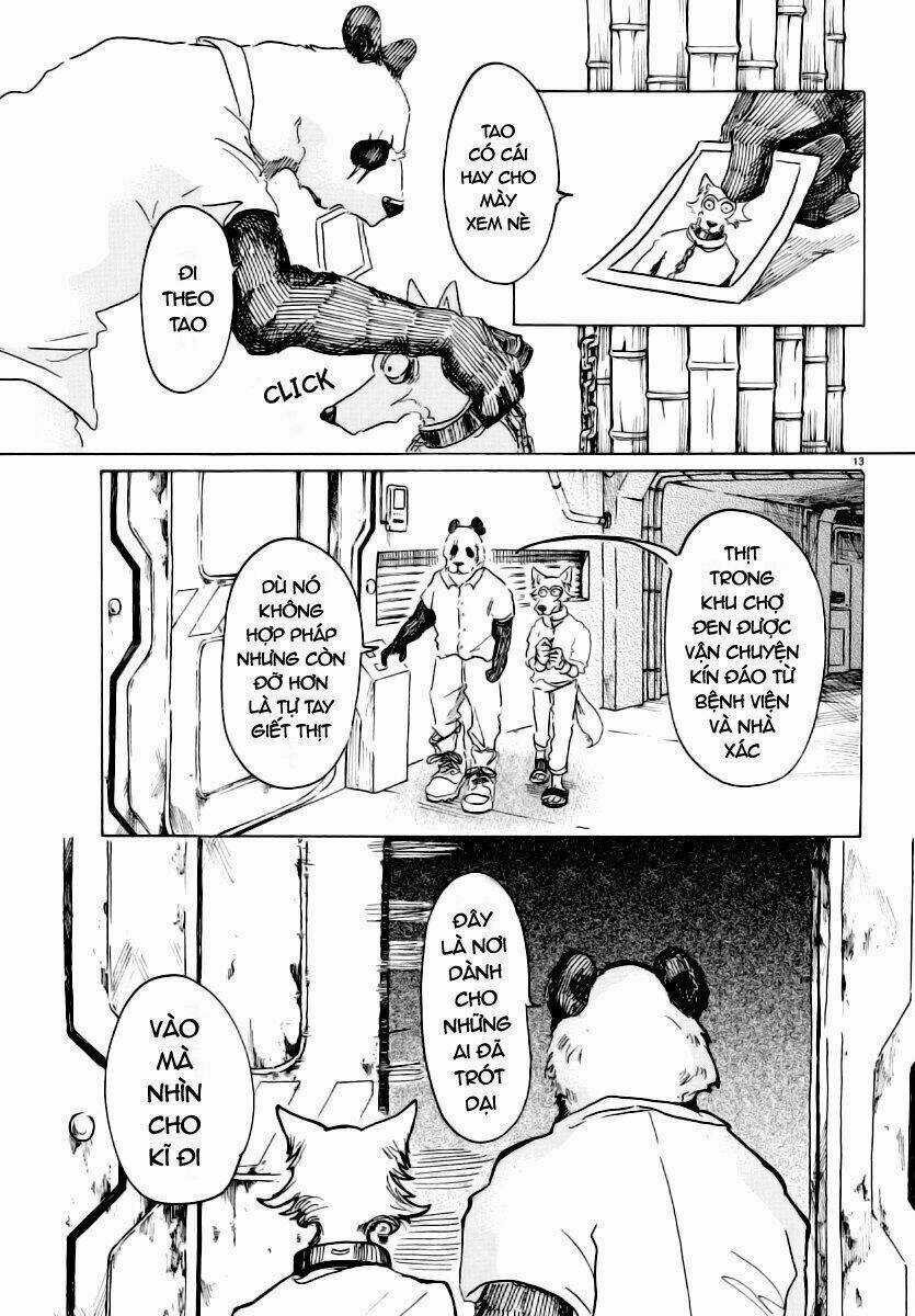 Bởi Vì Chúng Ta Đều Là Những Ngôi Sao Chapter 24 trang 12