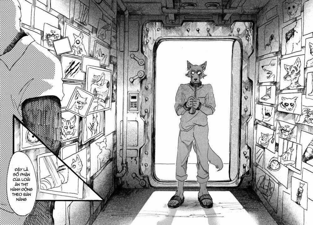 Bởi Vì Chúng Ta Đều Là Những Ngôi Sao Chapter 24 trang 13