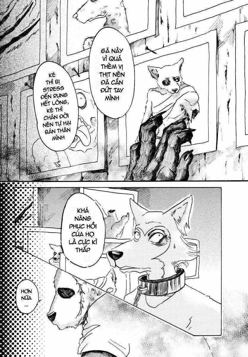 Bởi Vì Chúng Ta Đều Là Những Ngôi Sao Chapter 24 trang 14