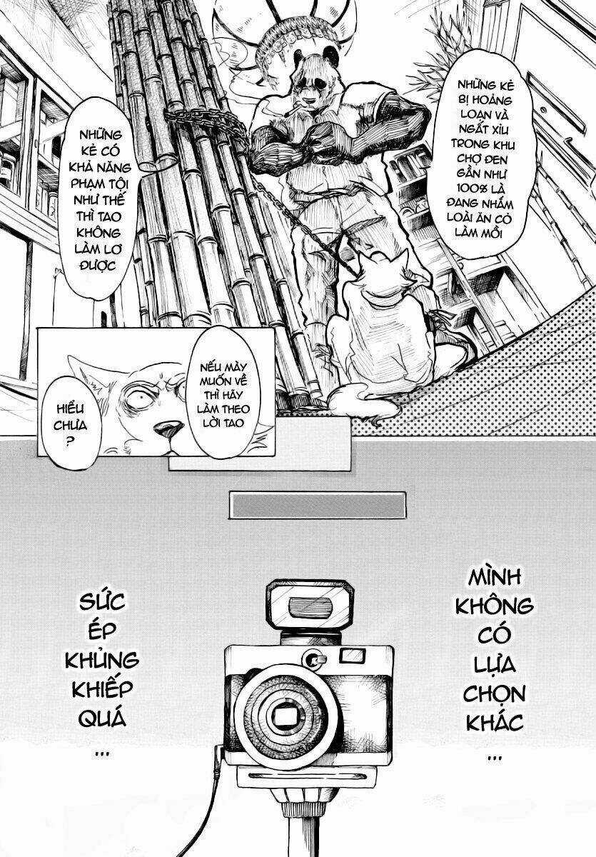 Bởi Vì Chúng Ta Đều Là Những Ngôi Sao Chapter 24 trang 7