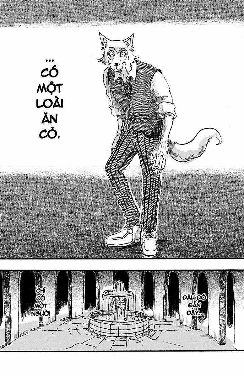 Bởi Vì Chúng Ta Đều Là Những Ngôi Sao Chapter 3 trang 17