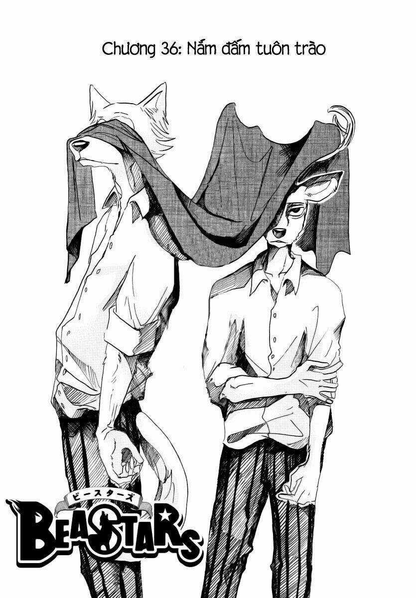 Bởi Vì Chúng Ta Đều Là Những Ngôi Sao Chapter 36 trang 0