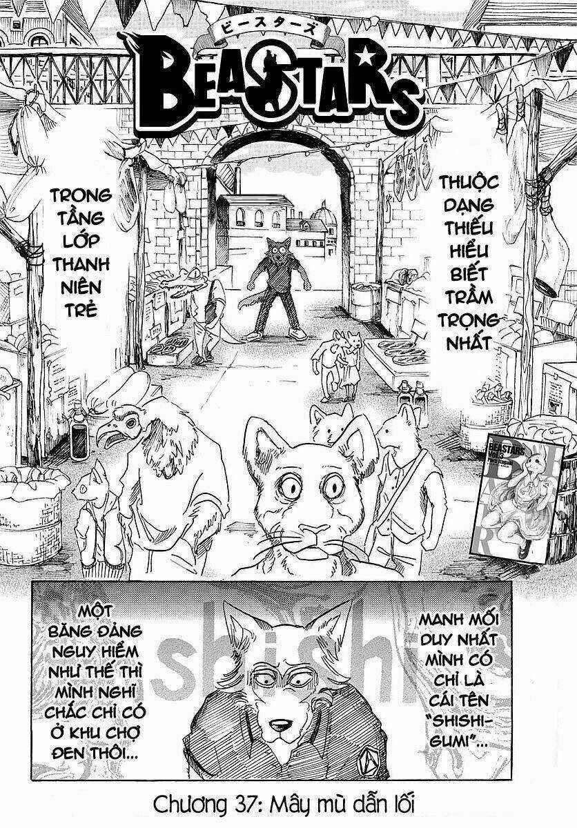 Bởi Vì Chúng Ta Đều Là Những Ngôi Sao Chapter 37 trang 1