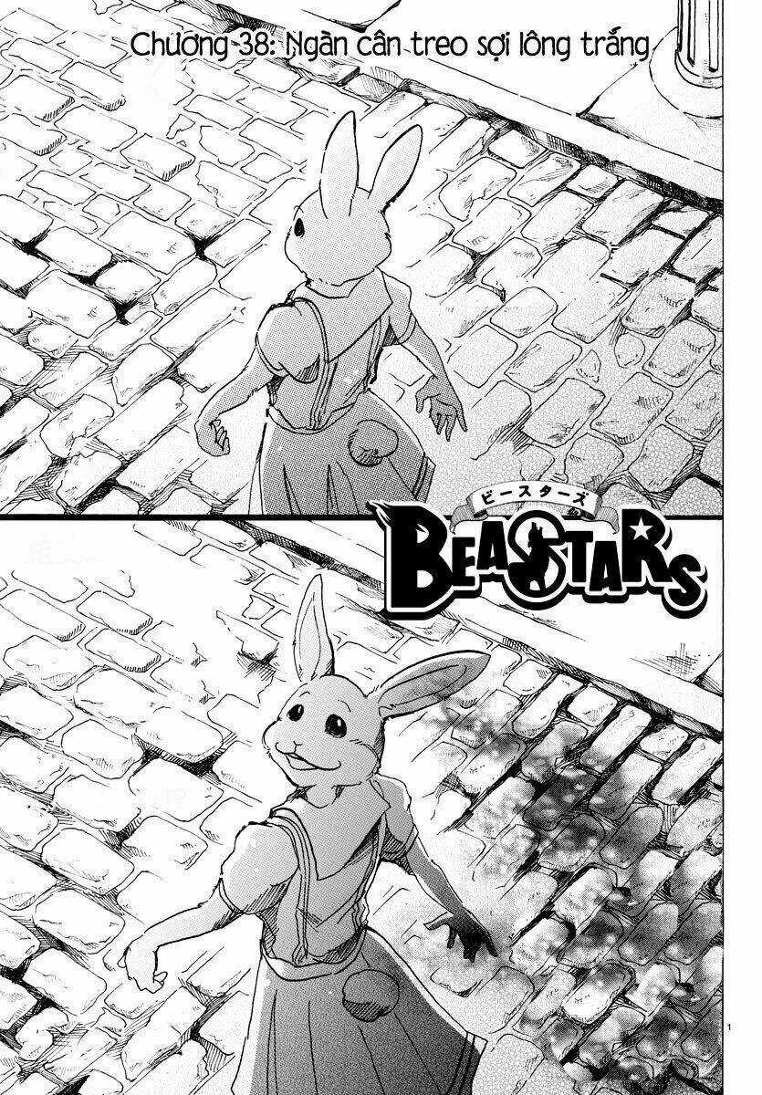 Bởi Vì Chúng Ta Đều Là Những Ngôi Sao Chapter 38 trang 1
