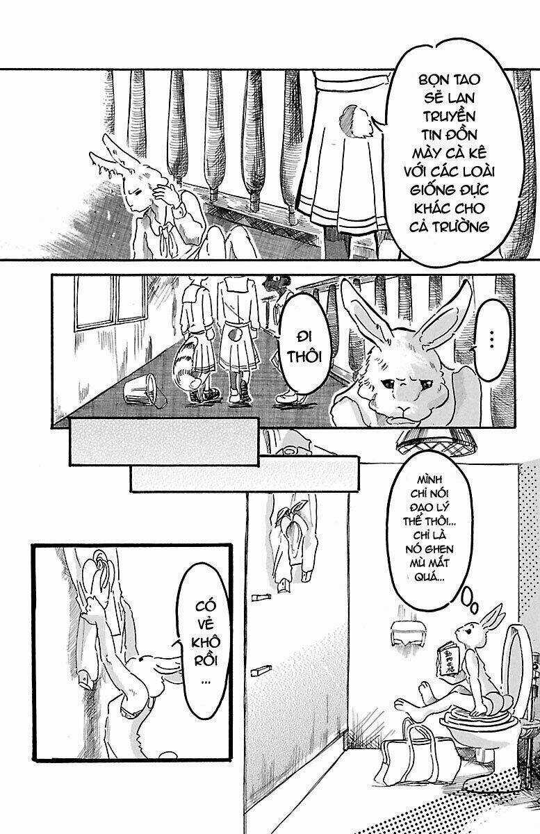 Bởi Vì Chúng Ta Đều Là Những Ngôi Sao Chapter 4 trang 13