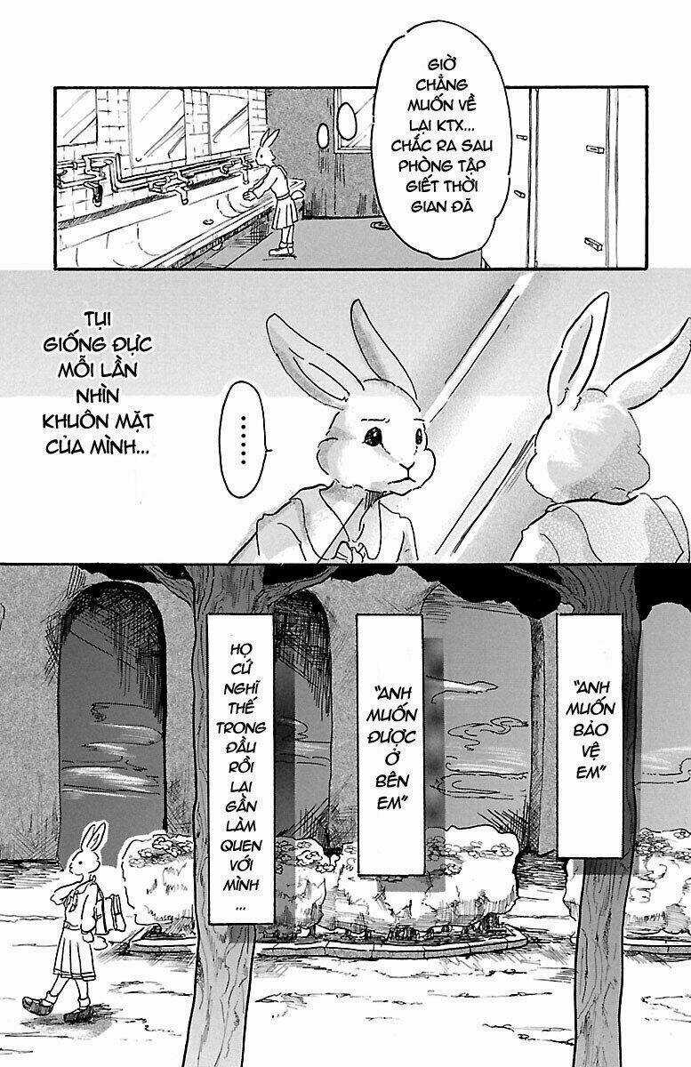 Bởi Vì Chúng Ta Đều Là Những Ngôi Sao Chapter 4 trang 14