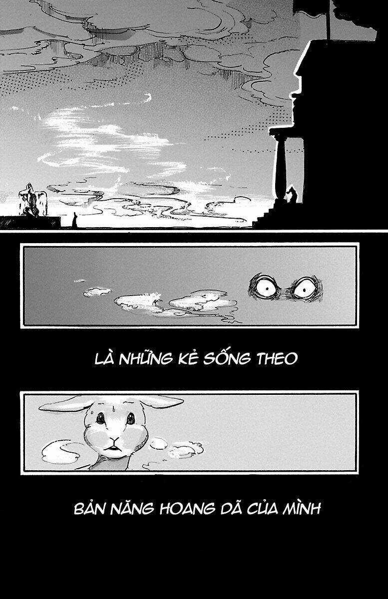 Bởi Vì Chúng Ta Đều Là Những Ngôi Sao Chapter 4 trang 17