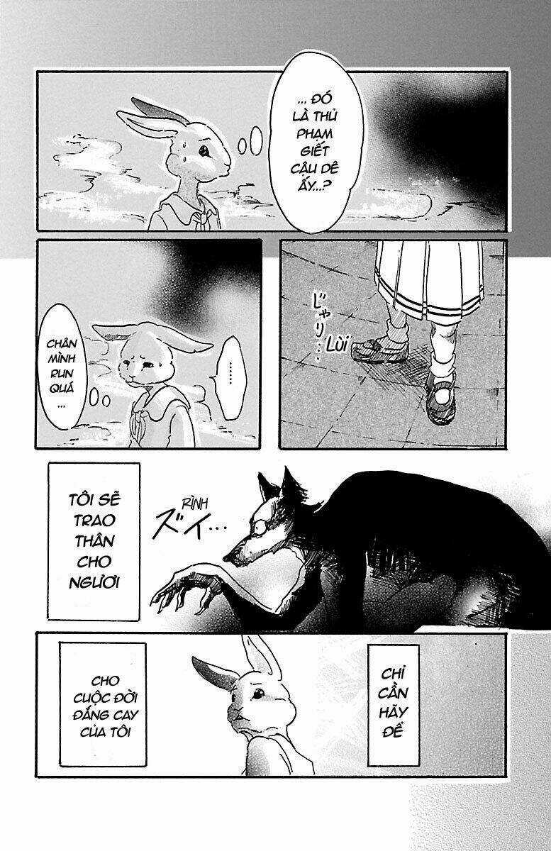 Bởi Vì Chúng Ta Đều Là Những Ngôi Sao Chapter 4 trang 19