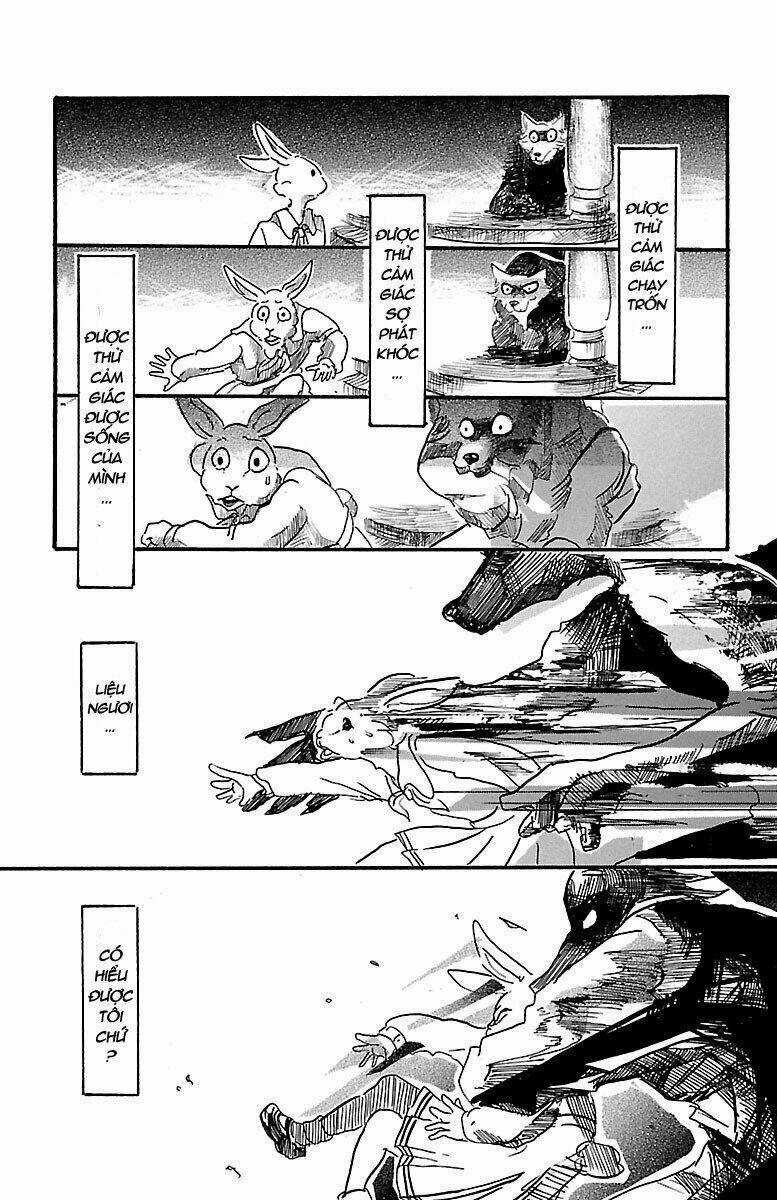 Bởi Vì Chúng Ta Đều Là Những Ngôi Sao Chapter 4 trang 20