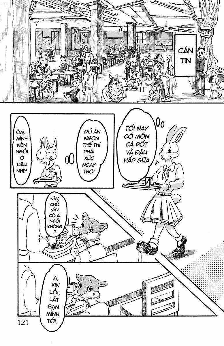 Bởi Vì Chúng Ta Đều Là Những Ngôi Sao Chapter 4 trang 4