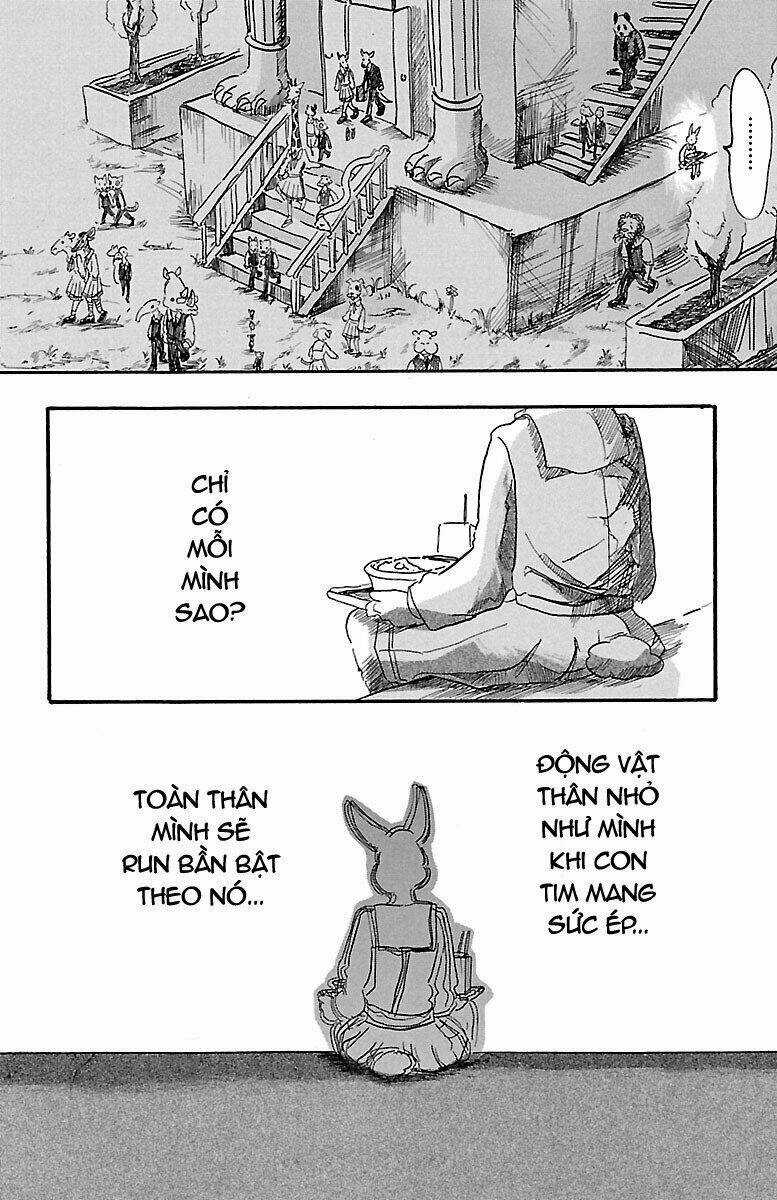 Bởi Vì Chúng Ta Đều Là Những Ngôi Sao Chapter 4 trang 7