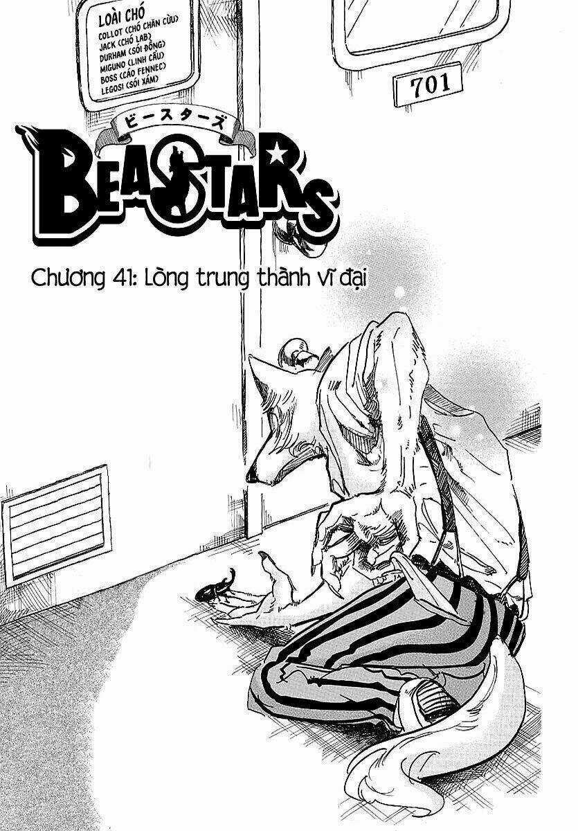 Bởi Vì Chúng Ta Đều Là Những Ngôi Sao Chapter 41 trang 1