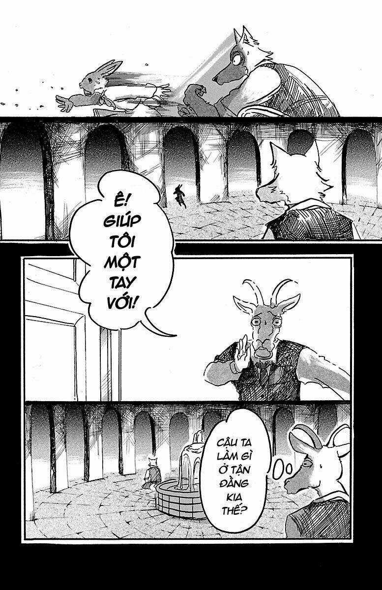 Bởi Vì Chúng Ta Đều Là Những Ngôi Sao Chapter 5 trang 11