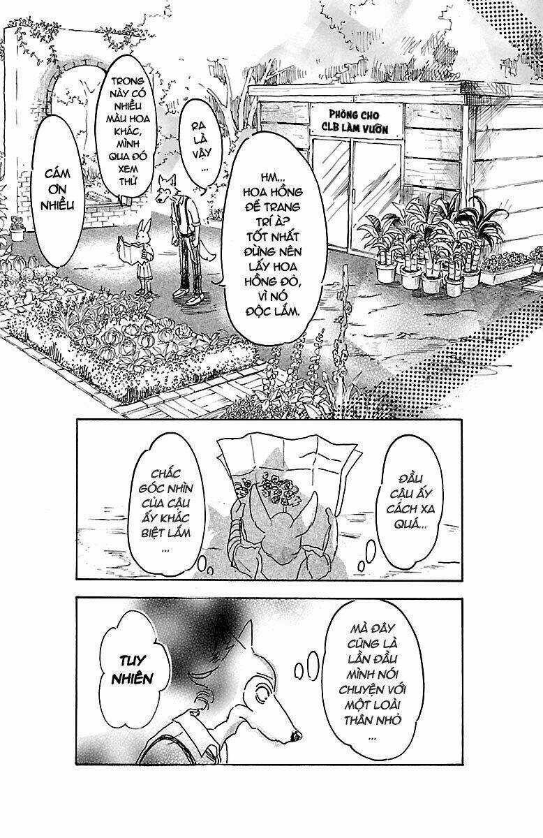 Bởi Vì Chúng Ta Đều Là Những Ngôi Sao Chapter 8 trang 15