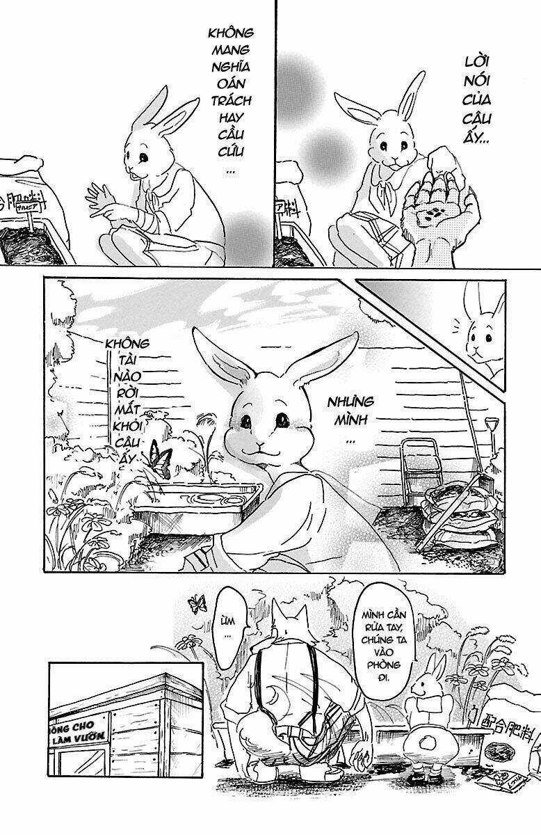 Bởi Vì Chúng Ta Đều Là Những Ngôi Sao Chapter 8 trang 23