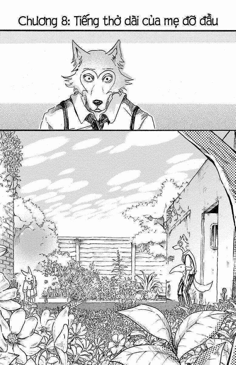 Bởi Vì Chúng Ta Đều Là Những Ngôi Sao Chapter 8 trang 5