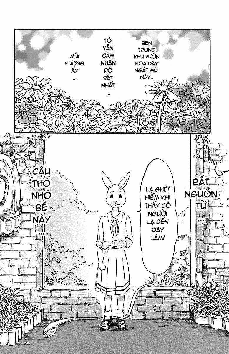 Bởi Vì Chúng Ta Đều Là Những Ngôi Sao Chapter 8 trang 6