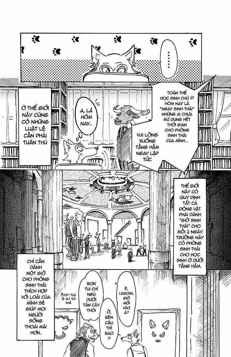 Bởi Vì Chúng Ta Đều Là Những Ngôi Sao Chapter 9 trang 13