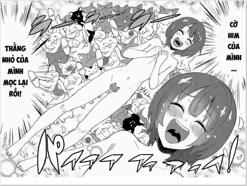 Boku Girl Chapter 78 trang 12