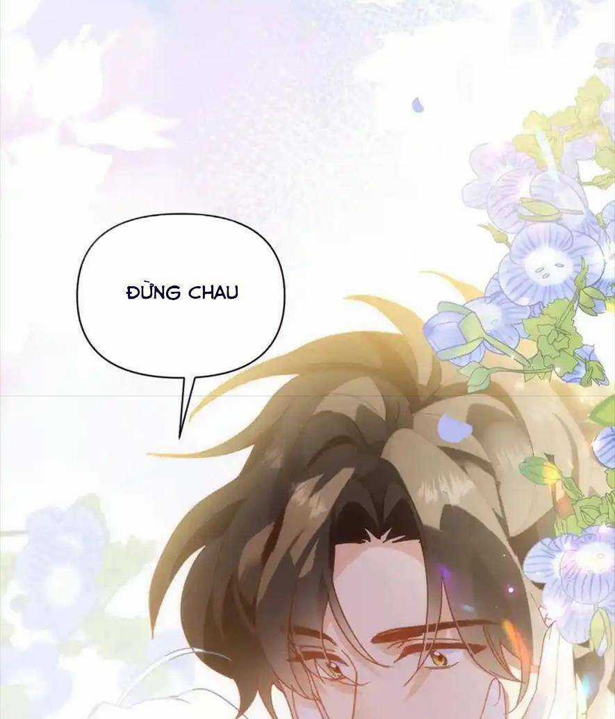 BỔN CÔNG CHÚA KHÔNG MUỐN ĐƯỢC CHIỀU CHUỘNG Chapter 19 trang 60