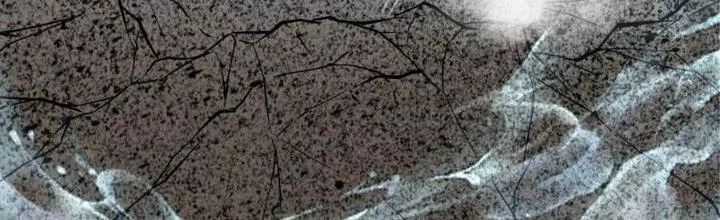 Bổn Tế Tu Chính Là Tiện Đạo Chương 310 trang 26