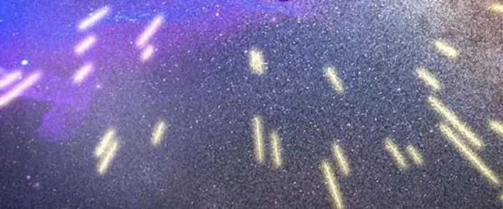 Bổn Tế Tu Chính Là Tiện Đạo Chương 311 trang 80