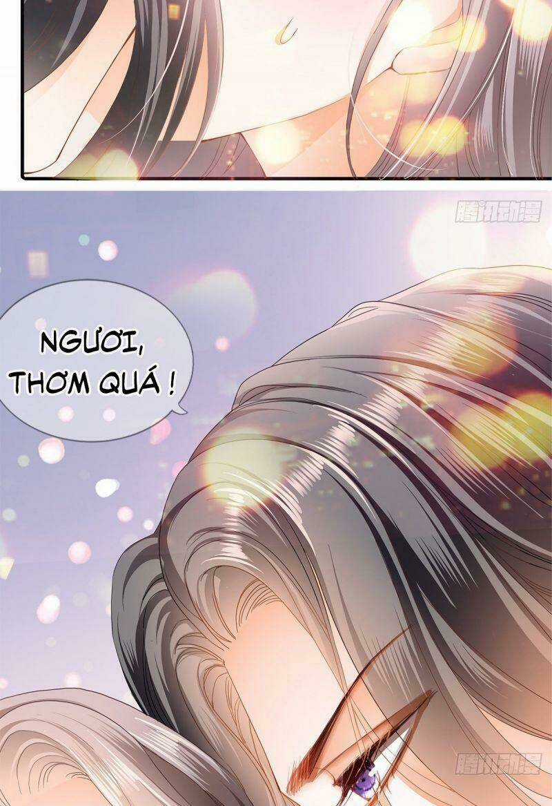 Bổn Vương Muốn Ngươi Chapter 1 trang 19